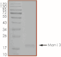 Product Element Image